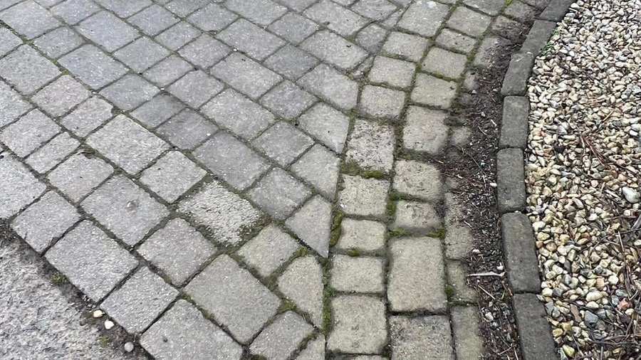 Garden Transformation
