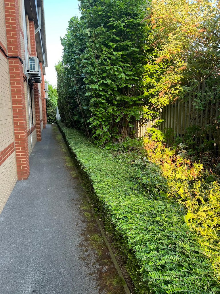 Garden Maintenance