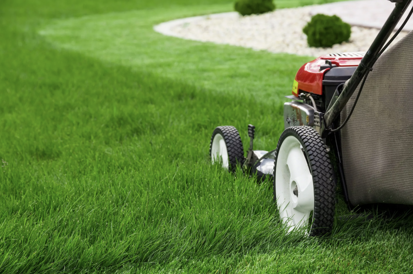 Garden Maintenance