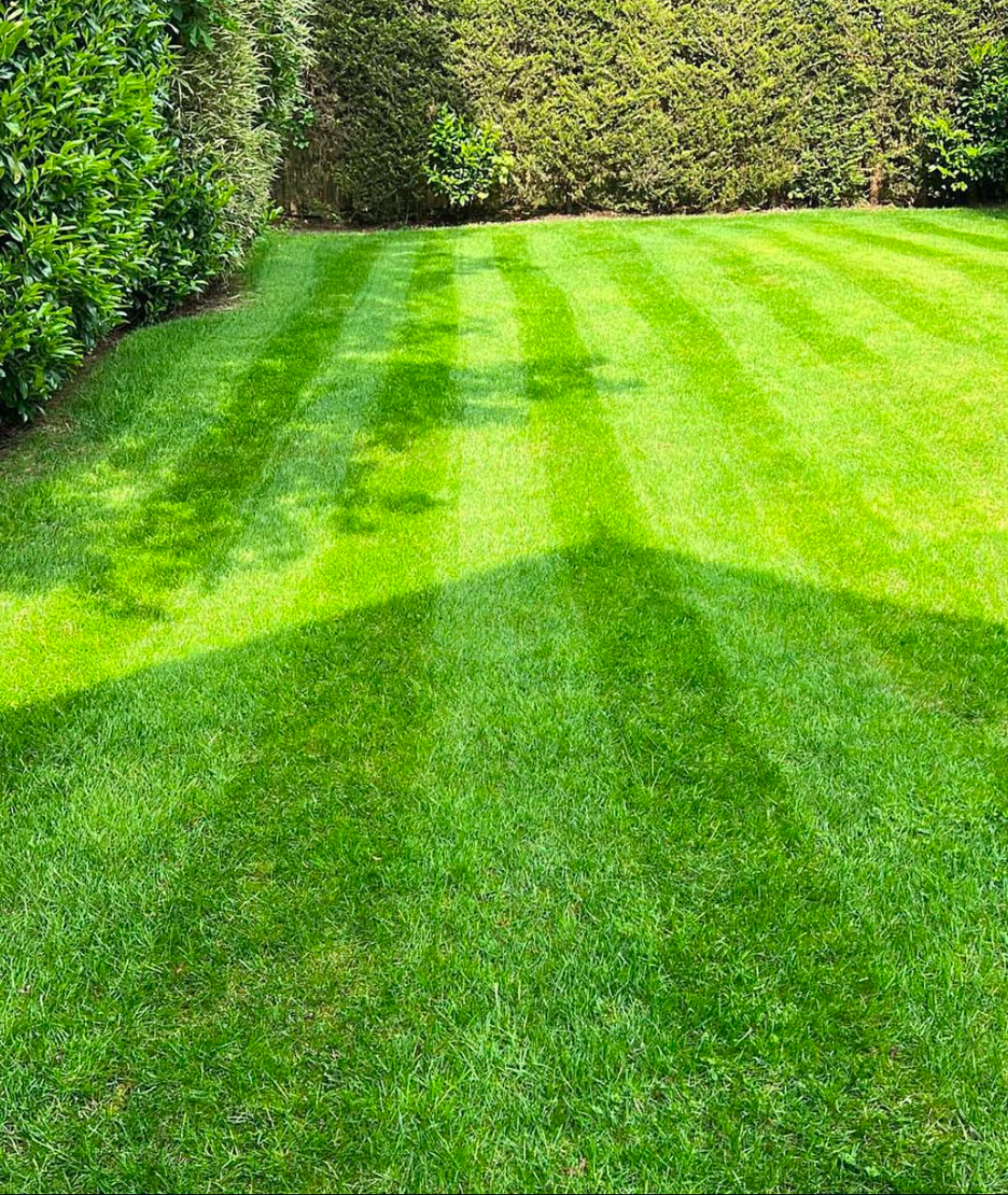 DS Gardening Services team